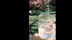 Эксперимент по биологии в 5 классе  Выращивание кристаллов