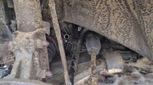 Проверка уровня масла в коробке на Опель Вектра С / Opel Vectra C