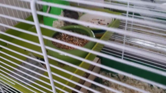 Сонный и холодный день. смотреть онлайн