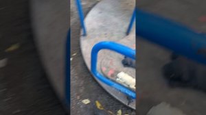2 часть прогулка сквиши собак