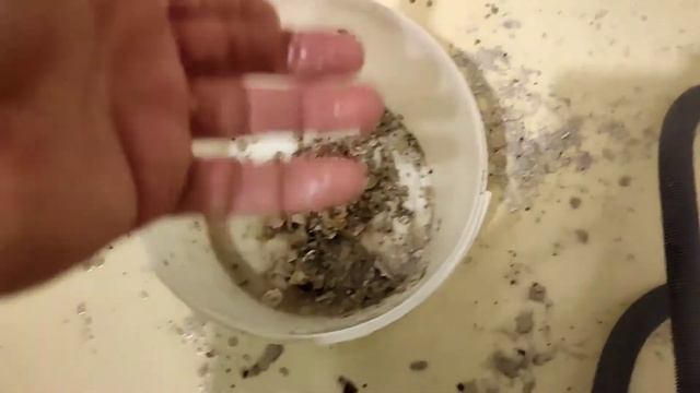 Замена насоса в стиральной машине. Показываю на практике. смотреть онлайн