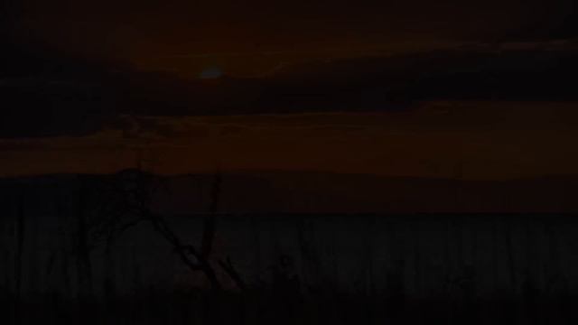 30 Min Deep Sleep: UNINTERRUPTED SLEEP Journey смотреть онлайн