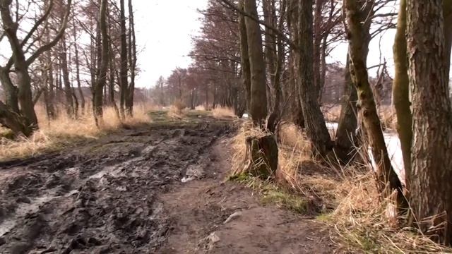 Зеленоградский канал, обзор красивых мест смотреть онлайн