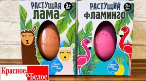 ВЫРАСТИЛИ ЛАМУ И ФЛАМИНГО ИЗ КБ / Растущая игрушка в яйце