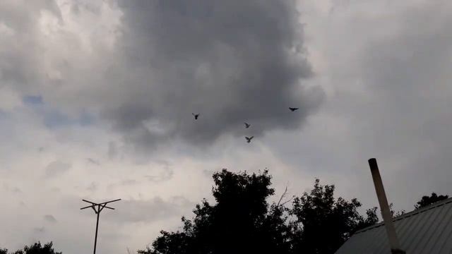 Такла тренировки. Добавляю вторую партию в небо. Такла жаттығуы. #такла смотреть онлайн