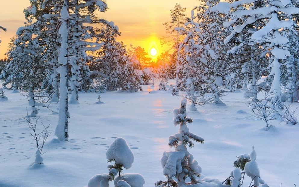 Версия с вокалом ( к песне Josh Turner "Your Man") смотреть онлайн