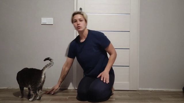 контрольная работа по Хатха-йоге смотреть онлайн