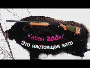 Охота на кабана  мр 155 с подхода_ огромный СЕКАЧ_