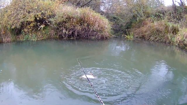 Ловля щуки на китайский воблер копию рудры от Allblue CHANCE 130SP смотреть онлайн