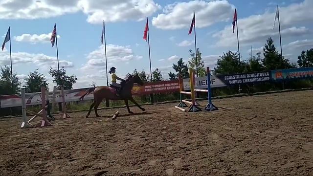 Конкур 90 см | Брусья смотреть онлайн