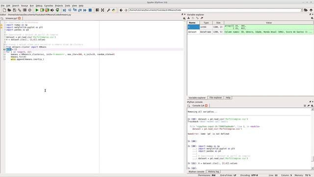 Clusterização de Grupos de Consumidores - Modelagem e Codificação em Python смотреть онлайн