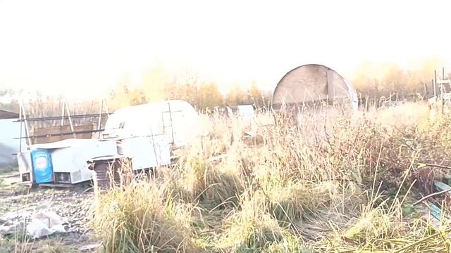 20.10.23. #утреннееутро в гринпене смотреть онлайн