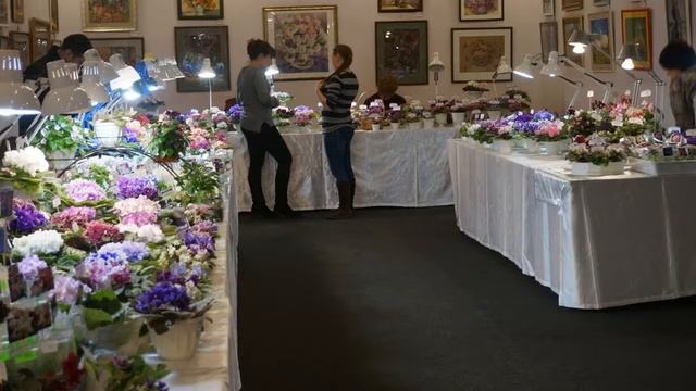 Феерия 2018 восьмая выставка фиалок в Харькове смотреть онлайн