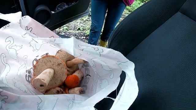 На Кижи на машине. Дорога, красоты Заонежья, остров после реставрации... смотреть онлайн