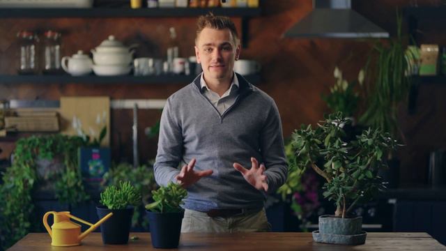 How to care for your Crassula | Grow at Home | RHS смотреть онлайн