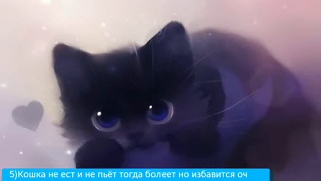 Лайфхаки для кошек! смотреть онлайн