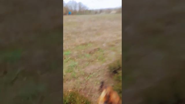 Очень интересная жизнь ?