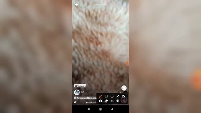 Учим Мастерить