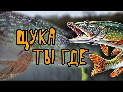 Где искать щуку в первые заморозки смотреть онлайн