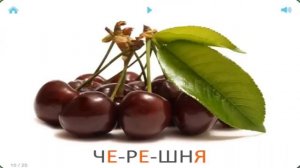 Карточки Домана для детей. №5 - Овощи, фрукты, орехи - ягоды - одежда