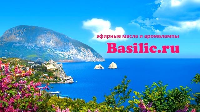 the windows of the city смотреть онлайн