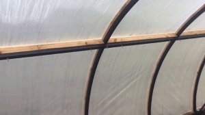 Арочная теплица из профильной трубы