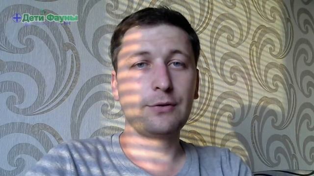 Глисты у кошек и собак. Дипилидиоз. Огуречный цепень смотреть онлайн