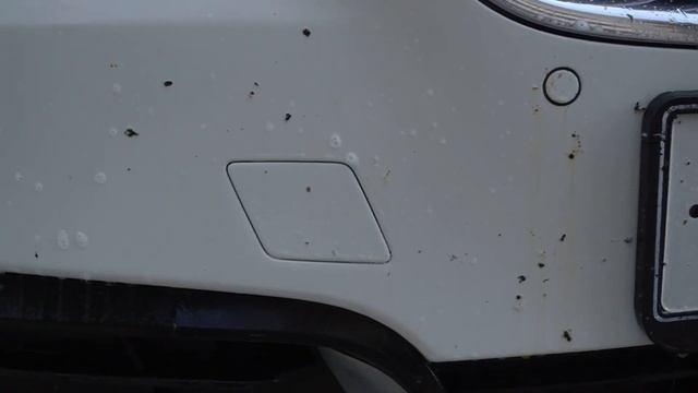 InsectOff в работе смотреть онлайн