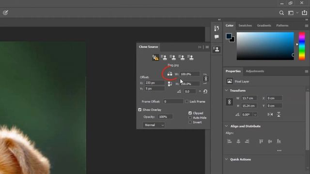 PHOTOSHOP | Clone Stamp Tool - Adobe Photoshop Tutorial for Beginners смотреть онлайн