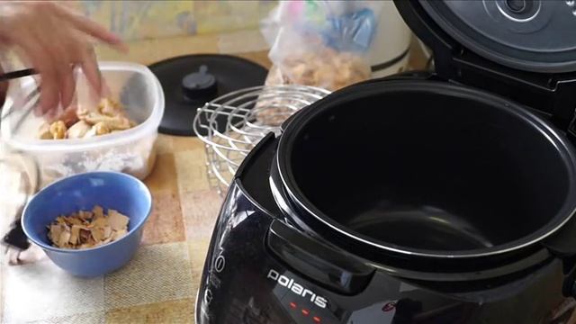 Животные в Зоопарках