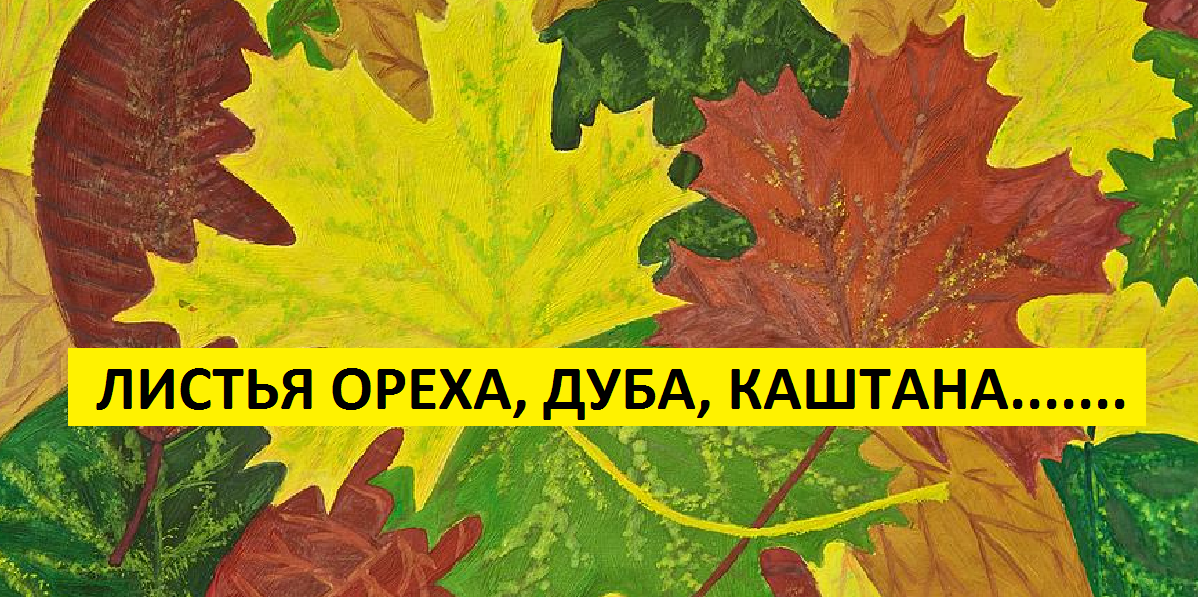 Листья грецкого ореха - мульча. смотреть онлайн