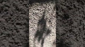 Пристройка отошла от дома! Подтяжка к дому часть 1