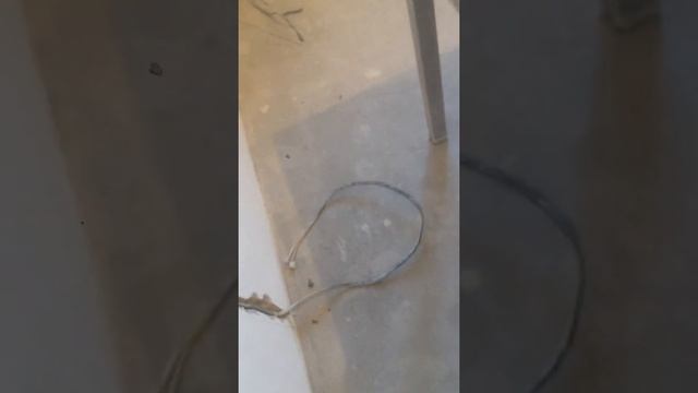 Дистар эстет-проблема смотреть онлайн