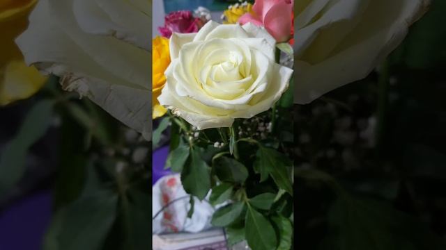 Фет.Непогода,осень... смотреть онлайн