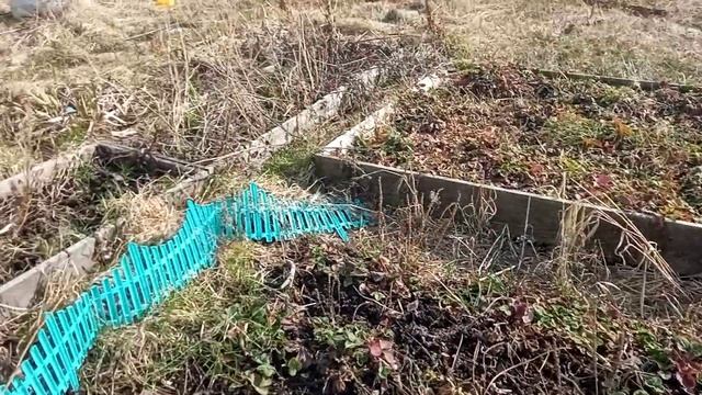 ДАЧА В МАЕ НА УРАЛЕ. КУРЫ ДОМИНАНТЫ смотреть онлайн