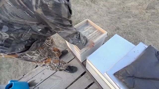 Профилактика акарапидоза. Ментоловые лепешки смотреть онлайн