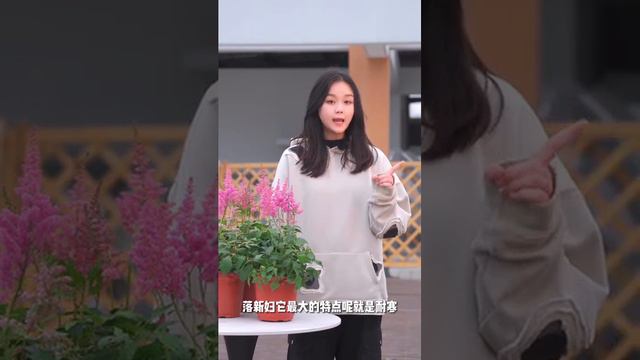 【花小多园艺】新型观赏花卉 落新妇 смотреть онлайн