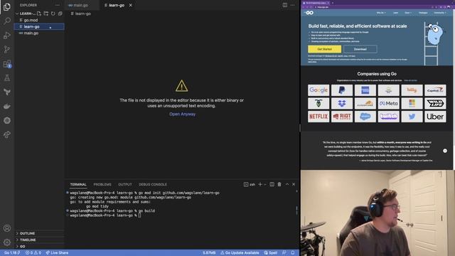 How to build a simple server in Go смотреть онлайн