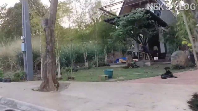 COFFEE RUSH BINANGONAN RIZAL / NEK'S MOTO смотреть онлайн