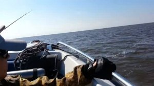 Астрахань Каспийское море