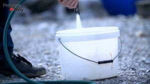 ДАЙТЕ КЛУБНИКЕ СОДУ+МОЛОКО И БУДЕТЕ СОБИРАТЬ УРОЖАЙ ТОННАМИ!! УХОД ЗА КЛУБНИКОЙ!