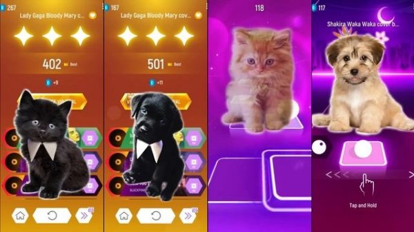 Cute Cats vs Cute Puppy Lady Gaga Bloody Mary Shakira Waka Waka Bongo cat vs dog