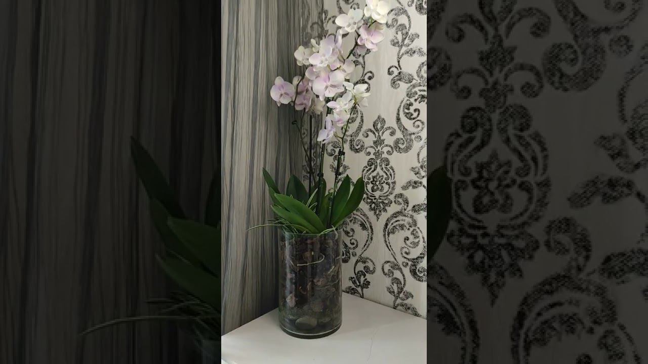 Завтра в эфире! КОМПОЗИЦИЯ из орхидей ВЕНЕЦИАНСКИЙ КАРНАВАЛ #shorts