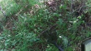 Распаковка и поиск с металдетектором zetmd z100 z150 z200