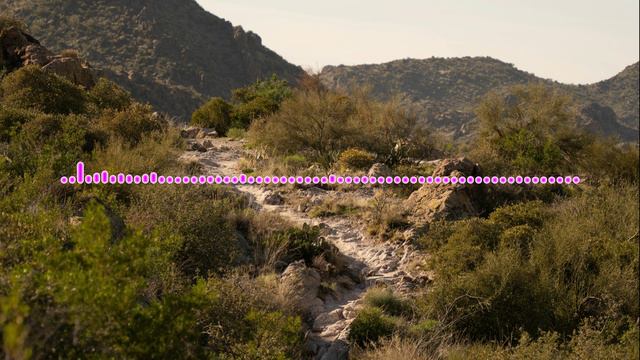 АМИНА АХМЕДОВА  - ДУМАЛА ЗАБУДУ 2024