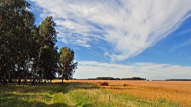 БРАТА С СЕСТРОЙ РАЗЛУЧИЛИ В ДЕТСТВЕ..ОНИ ВСТРЕТИЛИСЬ ЛИШЬ СПУСТЯ 15 ЛЕТ..ИСТОРИЯ ИЗ ЖИЗНИ 2023 смотреть онлайн