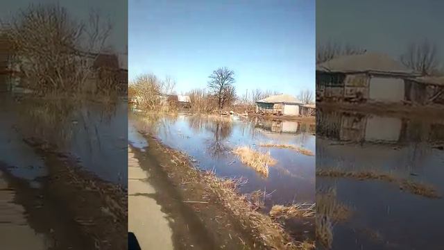 Река Савала. смотреть онлайн