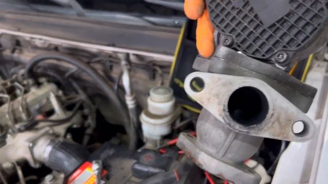 EGR Falla ?✅ Great Wall Wingle