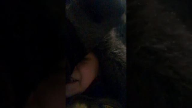 какие реформы нужны школьного прогрмме смотреть онлайн