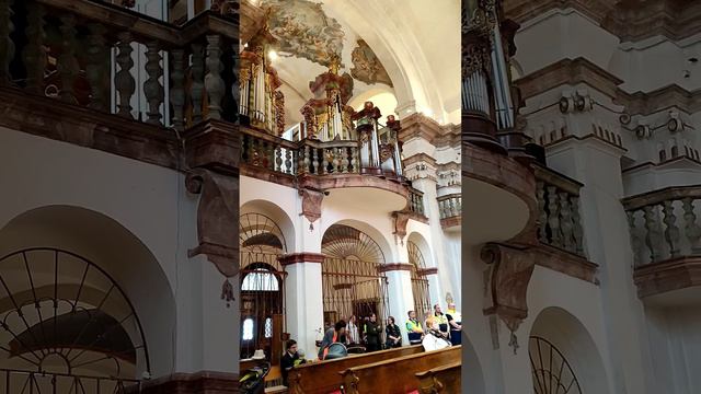 Harmonic melody of violin and organ. Wedding ceremony. 220423D смотреть онлайн